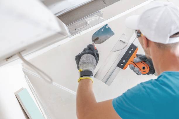 Environmental Consulting for Mold Prevention in Huntington, TX